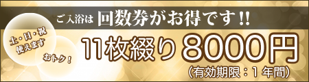 回数券　11枚綴り7500円