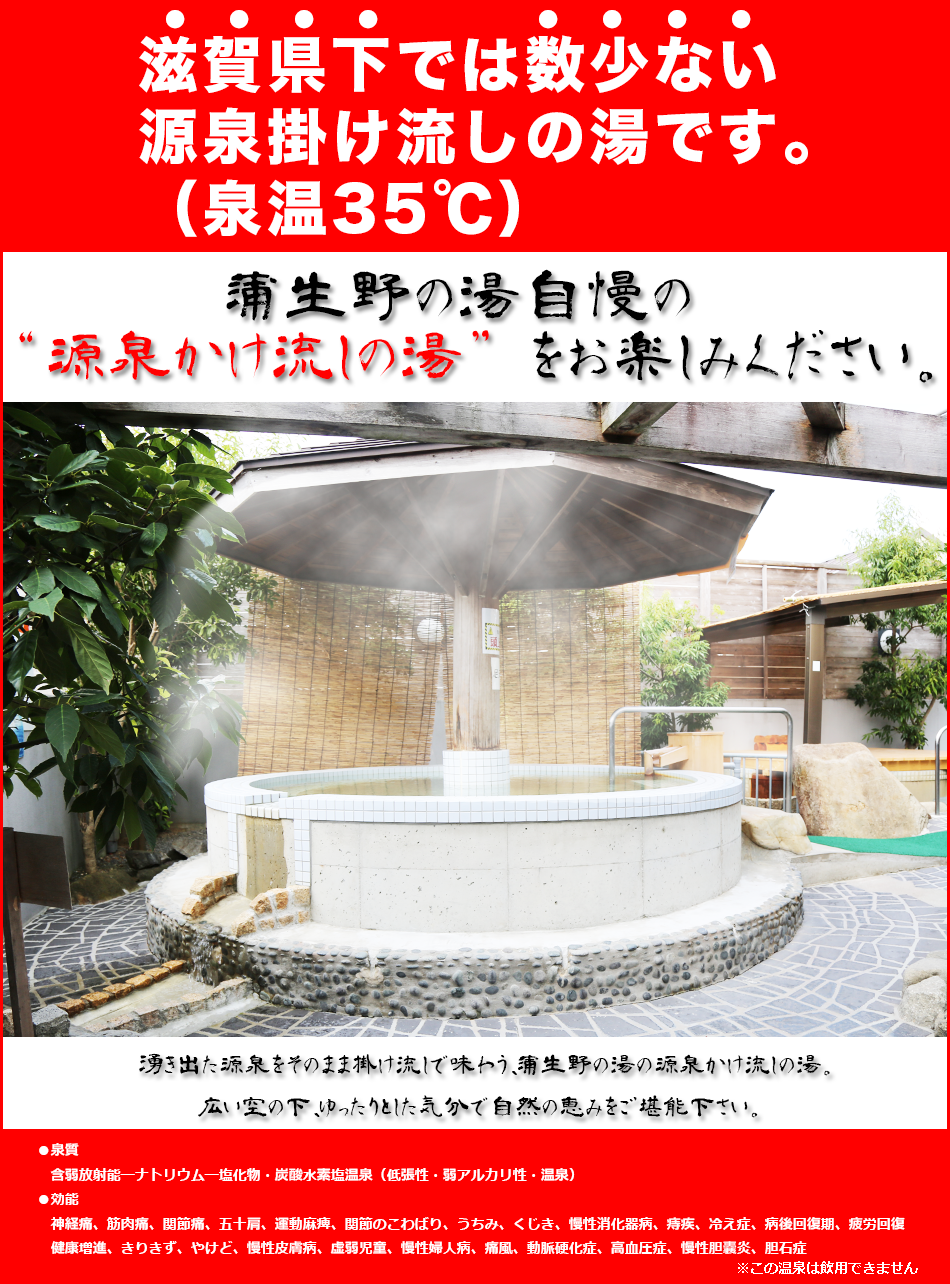 蒲生野の湯自慢の源泉かけ流しの湯をお楽しみください。湧き出た源泉をそのまま掛け流しで味わう、蒲生野の湯の源泉かけ流しの湯。広い空の下、ゆったりとした気分で自然の恵みをご堪能下さい。